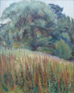 Willow At Woodbine Willow At Woodbine