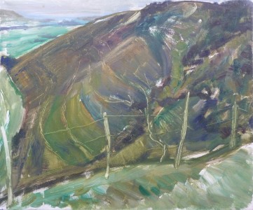 Wire Fence And Hill Wire Fence And Hill