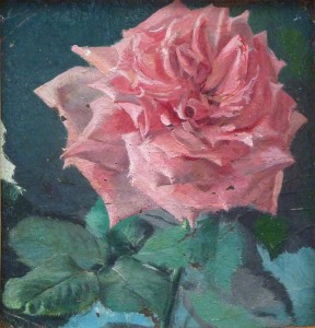 Rose Study Rose Study