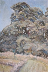 Trees At Woodbine Trees At Woodbine