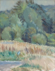 Paul At Woodbine Paul At Woodbine