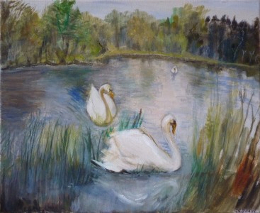 Swans For Sister Benedicta Swans For Sister Benedicta