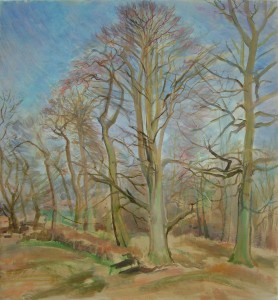 Trees In Early Spring Trees In Early Spring