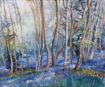 Bluebells In The Wood Bluebells In The Wood