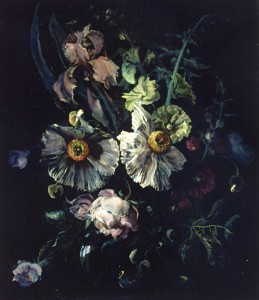 Dark Flower Study With Romneya Dark Flower Study With Romneya