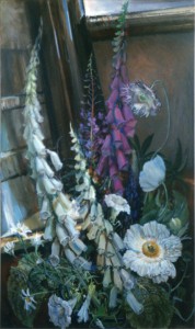 Foxgloves Study Foxgloves Study