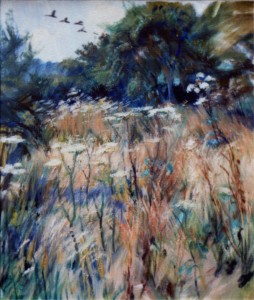 Geese And Cow Parsley Geese And Cow Parsley