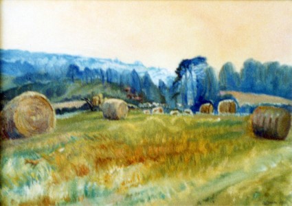 Haybales In Field Haybales In Field