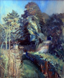 Hedgerow, Woodbine Hedgerow, Woodbine