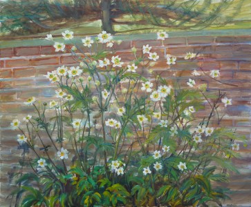 Japanese Anemones (2011) Japanese Anemones (2011)