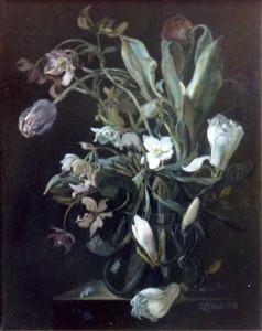 Magnolia Solanum Study Magnolia Solanum Study