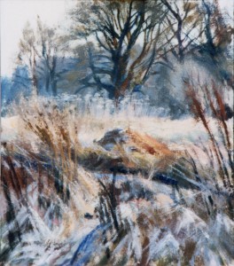 Rough Ground In The Snow Rough Ground In The Snow