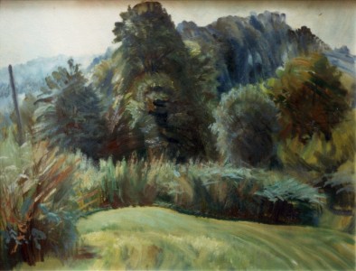 View From The Big Orchard, Woodbine View From The Big Orchard, Woodbine