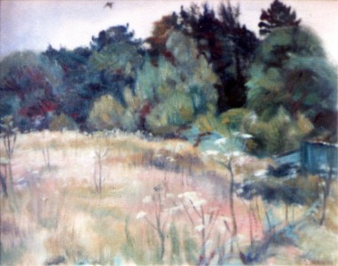 Woodbine Meadow With Cow Parsley (c. 1989) Woodbine Meadow With Cow Parsley (c. 1989)